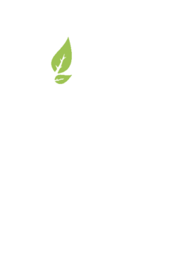 European-windows-toronto-markham-guelph-etobicoke-oakville-buy-where-the-best-installation-reynaers-schuco-aluprof-veka-rehau-